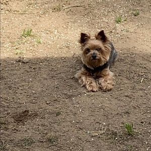 Meet your Posher, Celeste